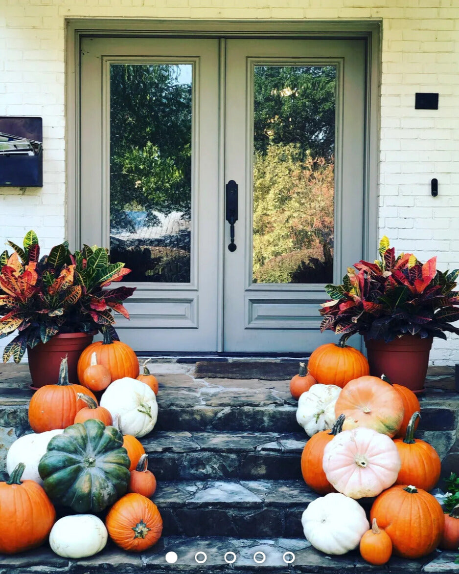 Porch Pumpkin Patch Package #4